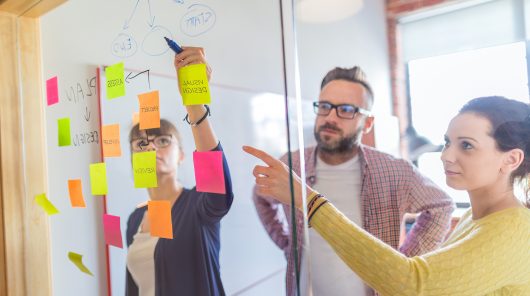 Self-service web facilities and e-learning software: IAM