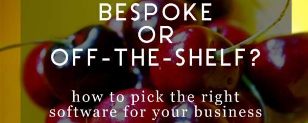 ​Before you invest in business software